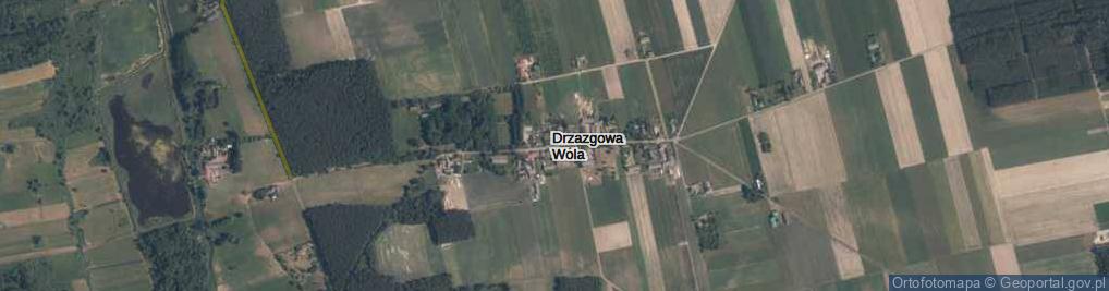 Zdjęcie satelitarne Drzazgowa Wola ul.
